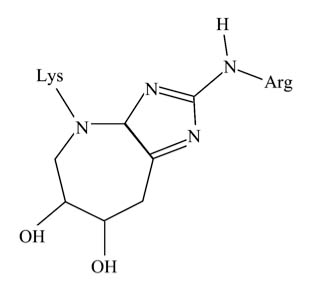 glucosepane molecule