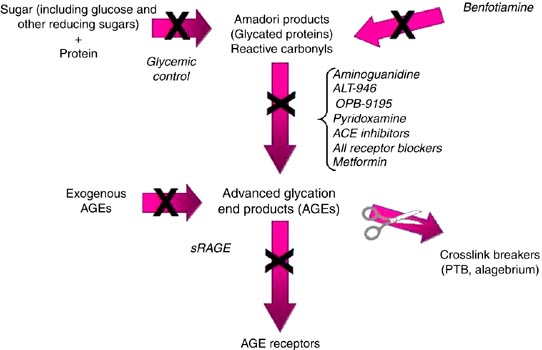 anti glycation pathway