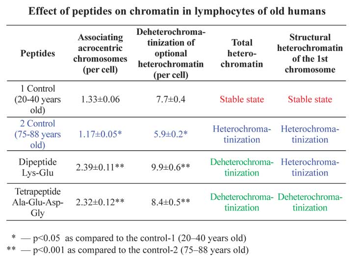 Effect of peptides on chromatin in lymphocytes of old humans